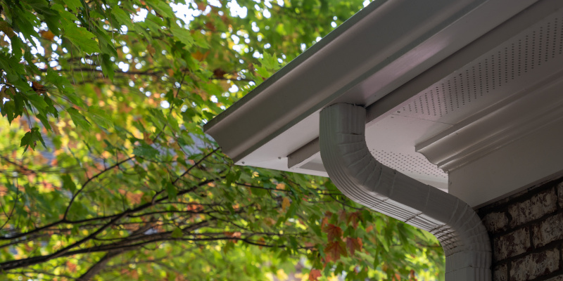 What You Should Know About Gutters